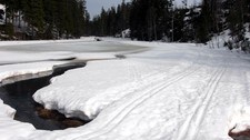 Påskeføre i Lillomarka (Foto: Atle Markeng/NRK)