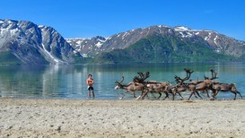 Badegjest møter reinsdyr på stranden - Foto: Ola Roalkvam