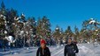 Ypperlige forhold i Nordmarka