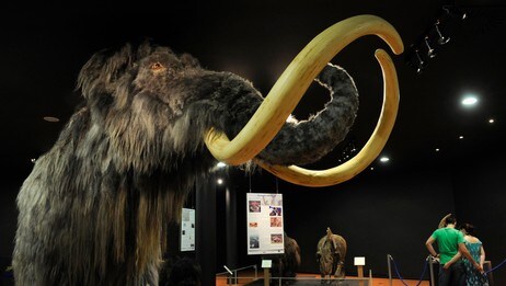 Mammut (Foto: ELOY ALONSO/REUTERS) Mammut (Foto: ELOY ALONSO/REUTERS)