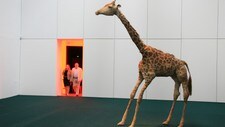 Sjiraff, del av 'Relax it's only a ghost' (Foto: Cosima von Bonin)
