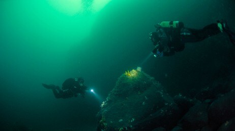 vinterdykk (Foto: Wenche Strand/Den Norske Turistforening)