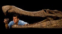 Paul Sereno med krokodillefossiler (Foto: National Geographic, Mike Hettwer/Scanpix/AP)