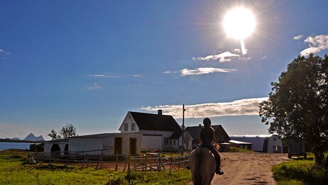 Fra Bjørkengen Gård i Bø i Vesterålen  (Foto: Bjørnar Hansen)