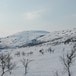 Rostahytta