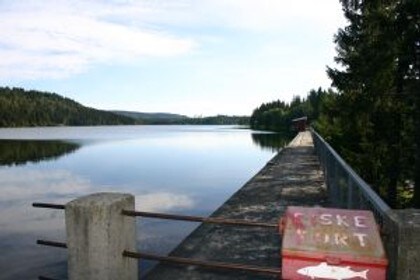 Damtjern, Foto Skiforeningen