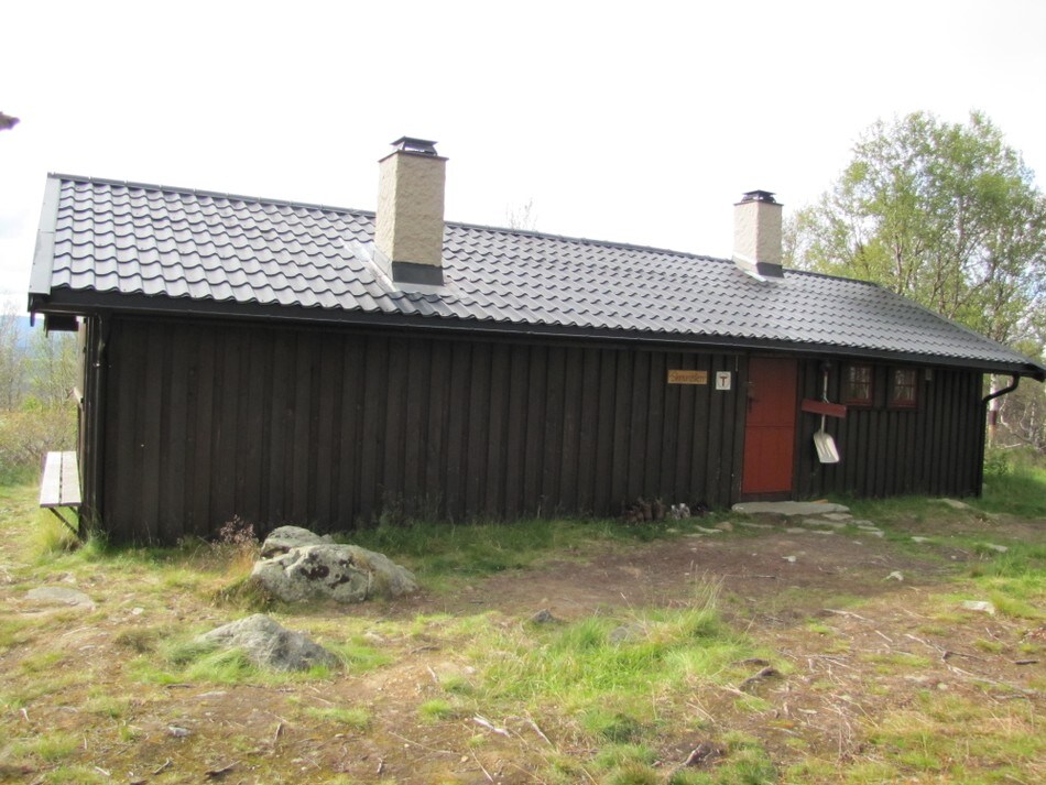 Skriurusten i august