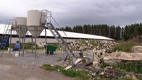 Minkfarm (NRK)