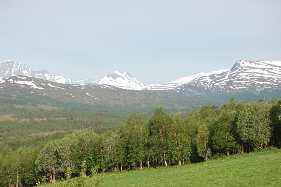 Utsikt fra Bårdsgarden