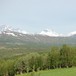 Utsikt fra Bårdsgarden