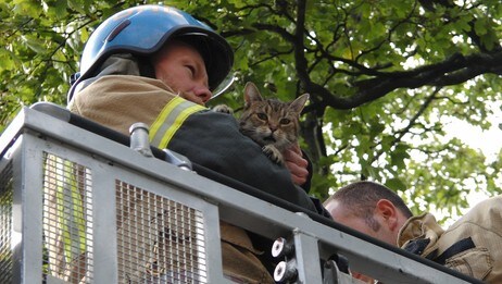 Katt reddes av brannvesenet (Foto: Erik Engen/NRK)