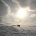 Rondane på langs mars 2010. I frisk bris over Godmyrin sør i Rondane en tidlig vintermorgen