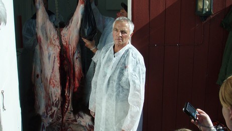 Bjørneskrott (Foto: Gaute Dvergsdal Bøyum)