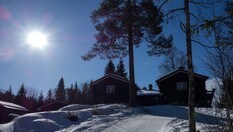 Brunnkollen