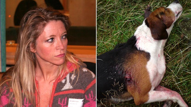 Mostue og hunden Ayla som ble drept av en bonde. (Foto: NRK/ Privat) Mostue og hunden Ayla som ble drept av en bonde. (Foto: NRK/ Privat)