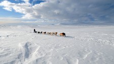 Bilde 1 (Foto: Allan klo)