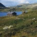 Kringlevatn