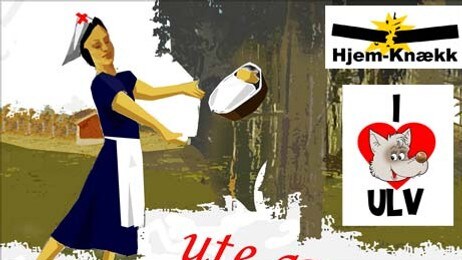 ute av syne ute av syne