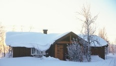 Vetåbua, sikringsbu og tillatt med hund