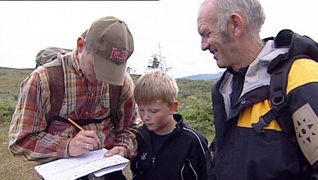 Rypetelling i Verranfjellene (Foto: Morten Andersen/NRK)