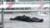Video Mann tente på seg selv foran tinghuset (Foto: Nyhetsspiller) Video Mann tente på seg selv foran tinghuset (Foto: Nyhetsspiller)