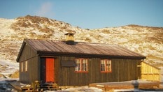 Tjørnbrotbu