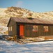 Tjørnbrotbu