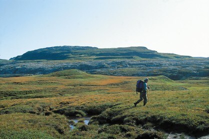 Melands Grønahei