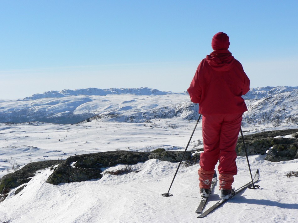 Mot Fauskofjell fra Dalabu