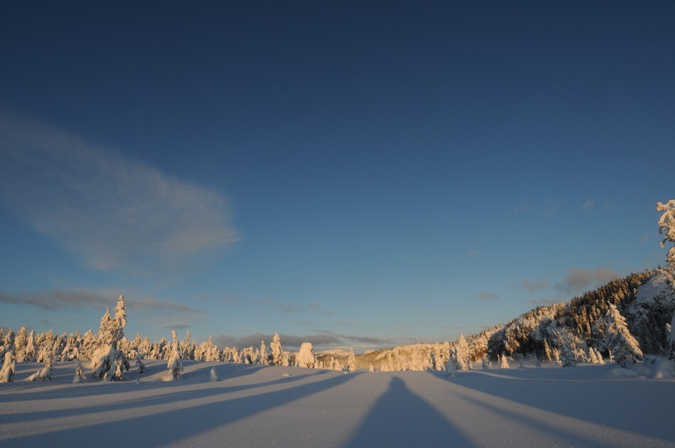 Ved Ivarsbu