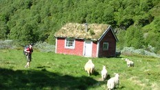 Gammal stølsbu - Bjødnabu.