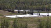 Flommen gir seg snart i Målselv - Folk håper og tror flommen gir seg snart i Målselv