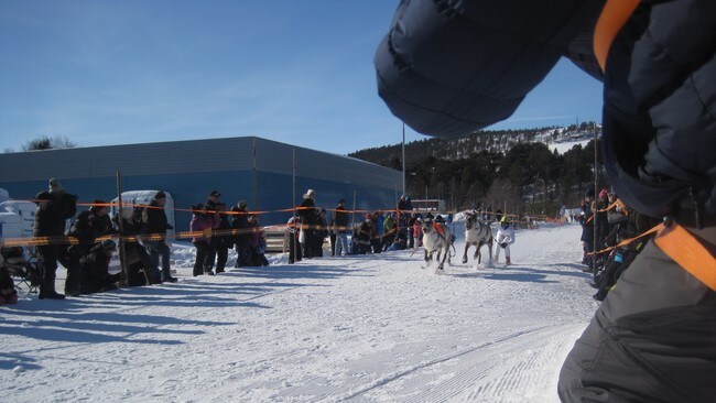 Heargegilvvut (Foto: Thoralf Balto/Nrk) Heargegilvvut (Foto: Thoralf Balto/Nrk)