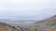 Snarvisitt på Hardangervidda