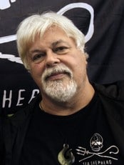Den kanadiske aktivisten Paul Watson, grunnleggeren av Sea Shepherd (Foto: FRANCOIS GUILLOT/Afp) Den kanadiske aktivisten Paul Watson, grunnleggeren av Sea Shepherd (Foto: FRANCOIS GUILLOT/Afp)