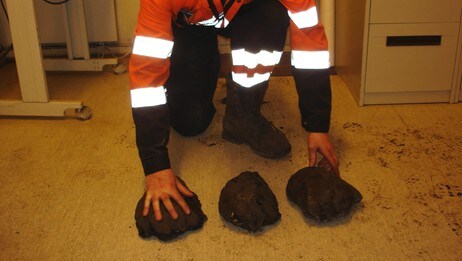Avtrykk av planteetende dyr på Svalbard (Foto: Store Norske) Avtrykk av planteetende dyr på Svalbard (Foto: Store Norske)