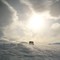 Rondane egner seg godt for skiturer. Du finner både enkle og vanskelige varianter.