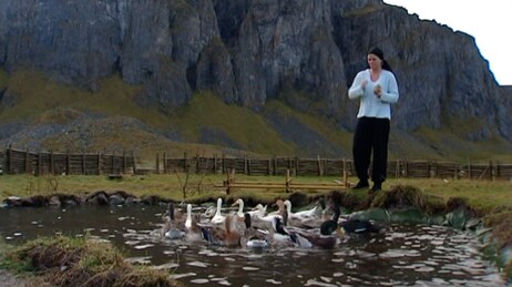 Lofoten Sjokolade (Foto: Dan Henrik Klaussen/NRK) Lofoten Sjokolade (Foto: Dan Henrik Klaussen/NRK)