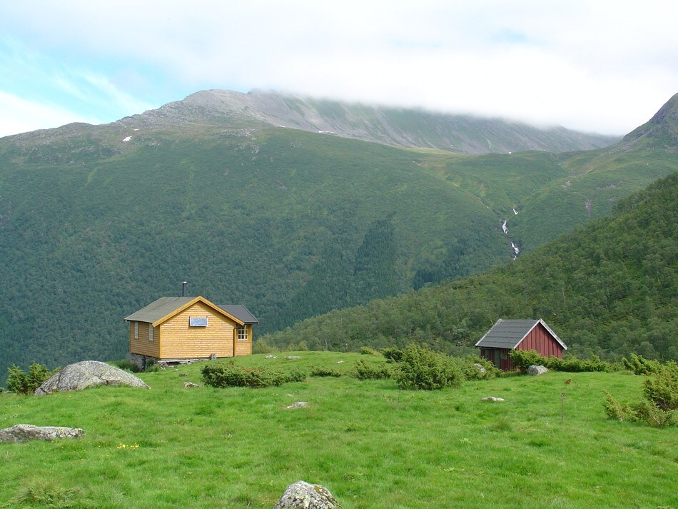 Velleseter