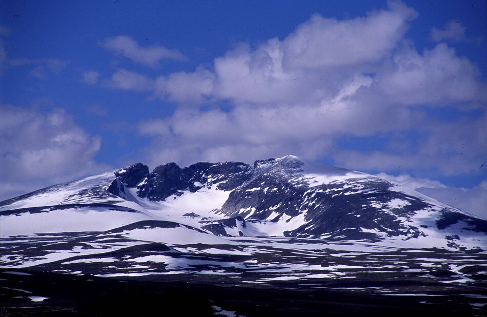 Dovrefjell