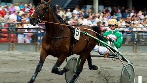 Trav: Elitloppet 26.05.2013