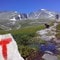 Søk etter turforslag i Rondane på UT.no.