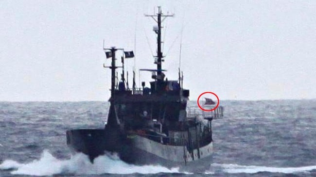 Sea Shepherd (Foto: REUTERS/The Institute of Cetacean Research/Handout) Sea Shepherd (Foto: REUTERS/The Institute of Cetacean Research/Handout)