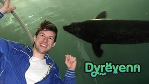 Dyrevenn 22.02.2012