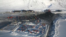 Svea på Svalbard (Foto: Idar Nikolaisen)