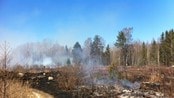 krattbrann - Lyng og krattbrann på Tolvsrød i Tønsberg.