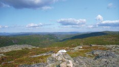 Blåsfjellnuten