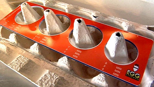 Eggstokken (Foto: Hans Petter Reppe/NRK) Eggstokken (Foto: Hans Petter Reppe/NRK)
