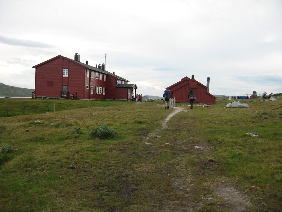 Rauhelleren