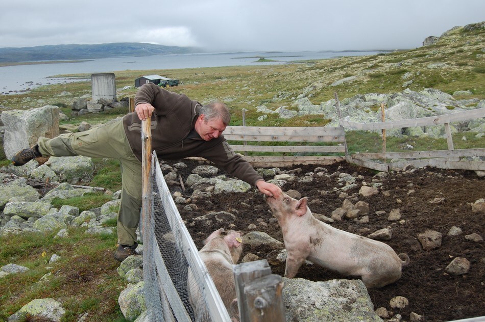 Vi har det grisegodt her på Sandhaug